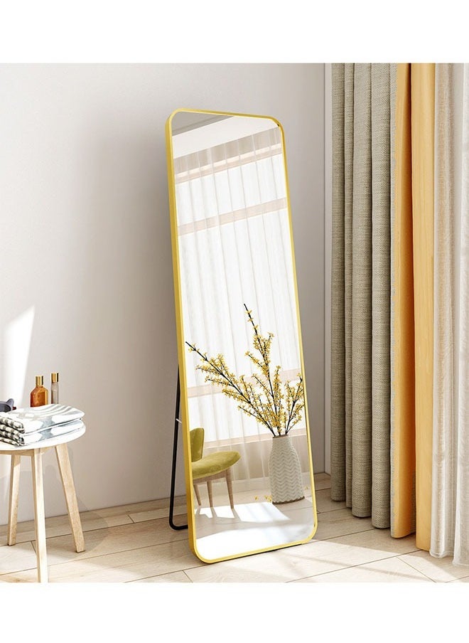 Full Length Standing Dressing Mirror 60 X 165  CM