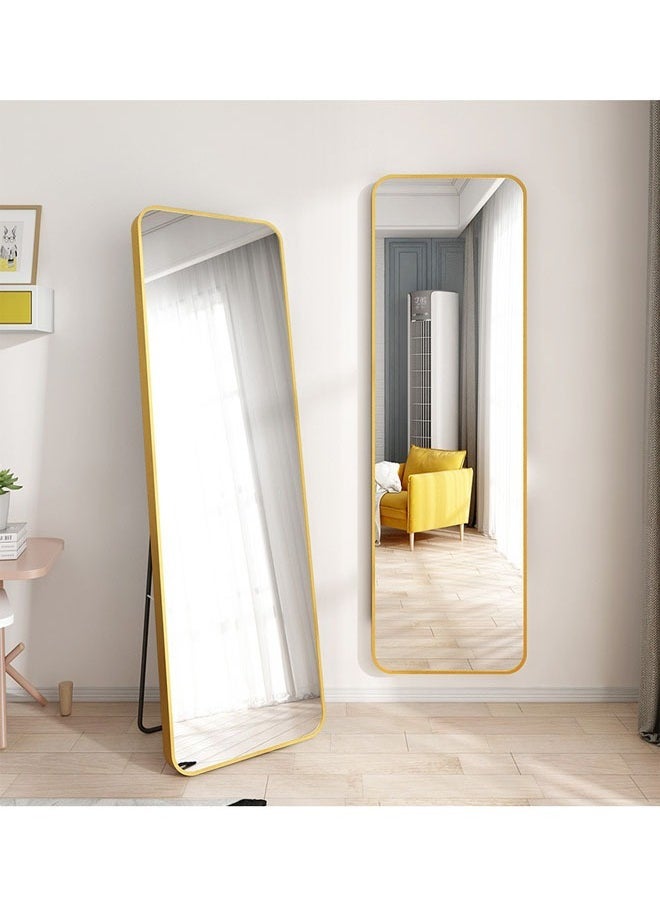 Full Length Standing Dressing Mirror 60 X 165  CM