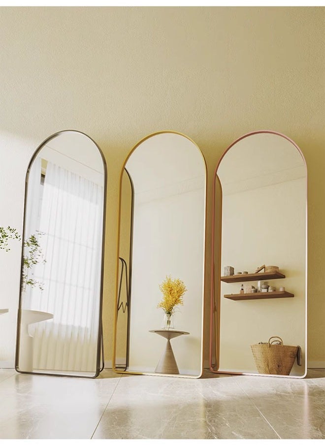 Full Length Standing Dressing Mirror 60 X 165  CM