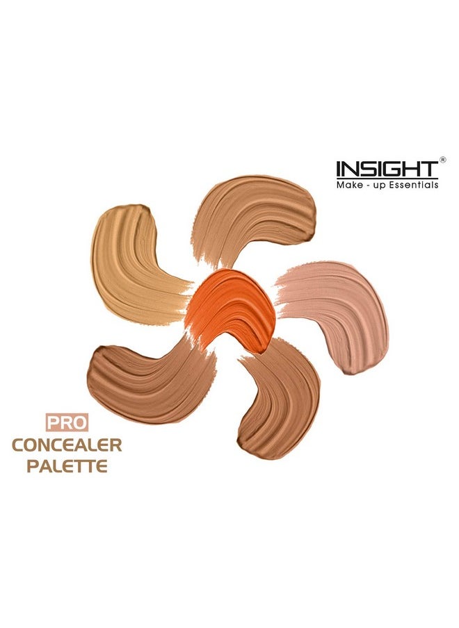 Cosmetics Pro Concealer Palette Concealer 15Gm