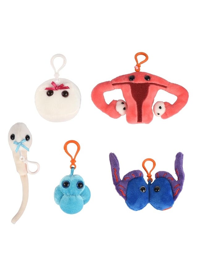 GIANTmicrobes Lets Get it On Themed Gift Box  Learn about the Reproductive System with Set of 3 cells Unique Gift for Friends Students Scientists Educators Anyone with a Healthy Sense of Humor