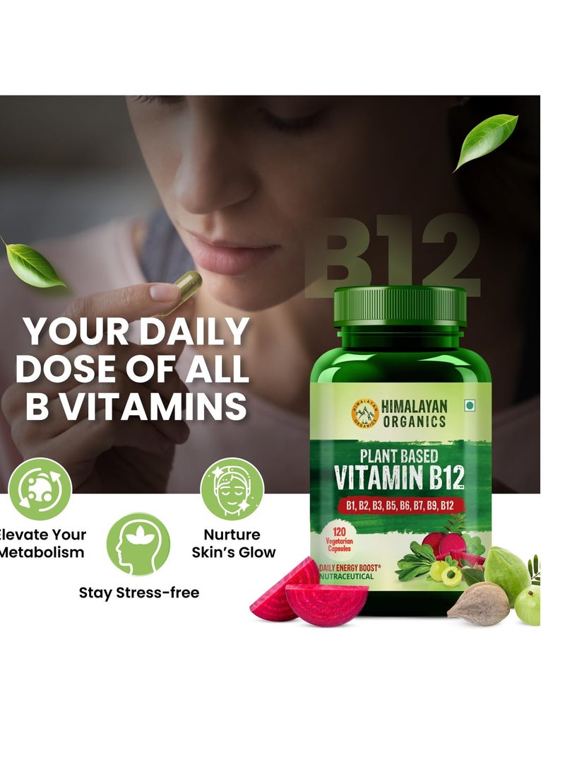 Himalayan Organics Natural Vitamin B12,  (120 Vegetarian Capsules) B1, B2, B3, B5, B6, B7, B9, B12/ Daily Energy Boost