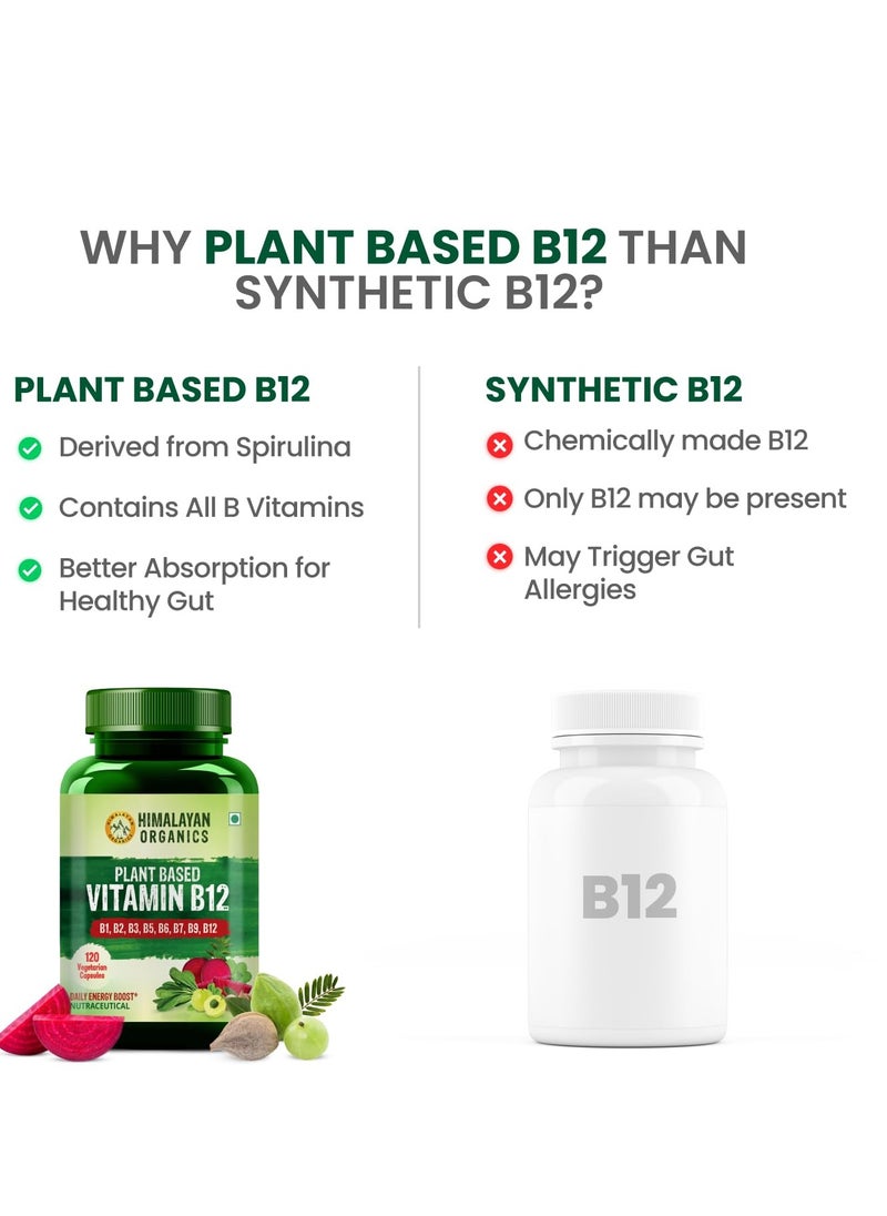 Himalayan Organics Natural Vitamin B12,  (120 Vegetarian Capsules) B1, B2, B3, B5, B6, B7, B9, B12/ Daily Energy Boost