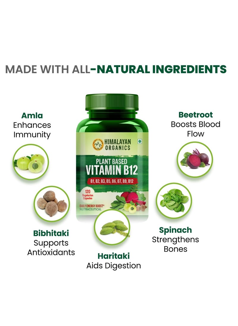 Himalayan Organics Natural Vitamin B12,  (120 Vegetarian Capsules) B1, B2, B3, B5, B6, B7, B9, B12/ Daily Energy Boost