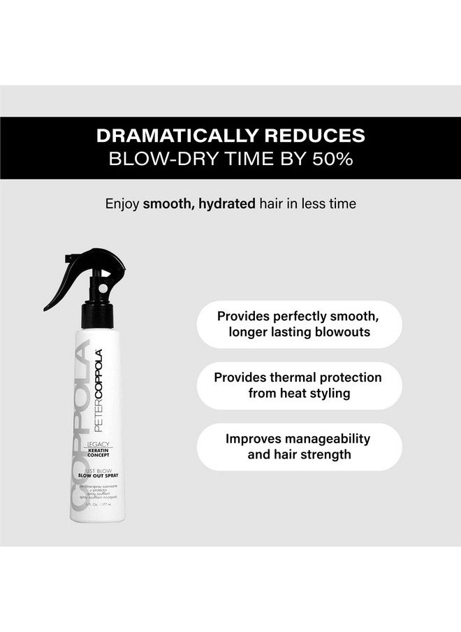 Just Blow - Blow Dry Spray With Heat Protectant - Smoothes And Straightens All Hair Types, Conditions, And Adds Shine (6 Oz, 2 Pack)