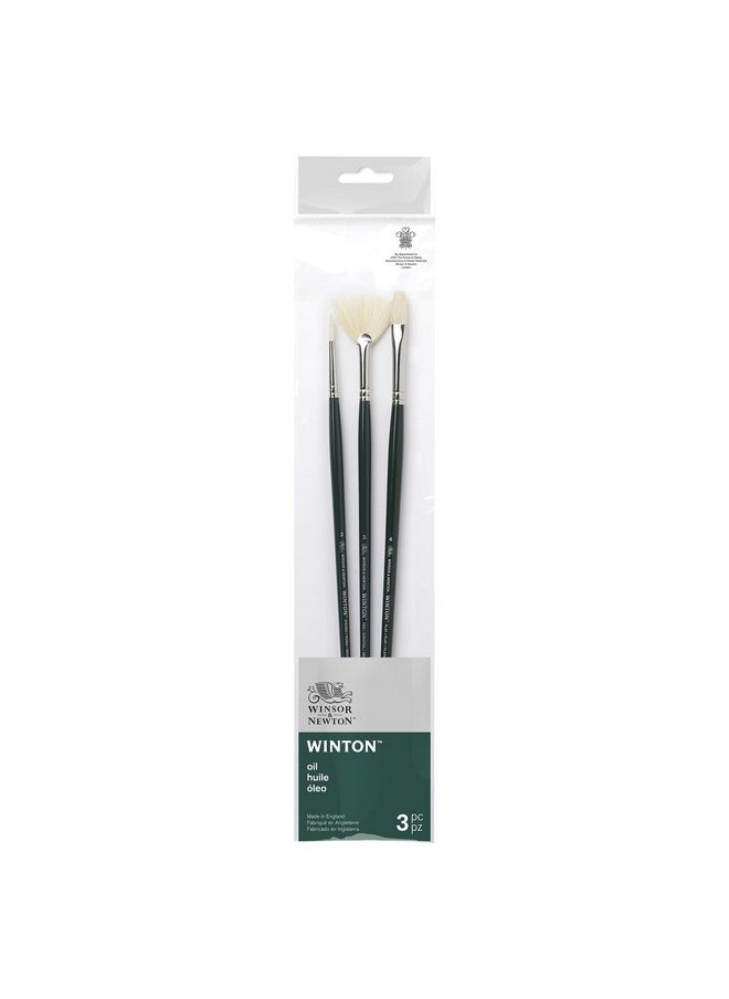 Winton Hog Bristle Brush - Assorted Set- Long Handle - Pack Of 3 - Set 3