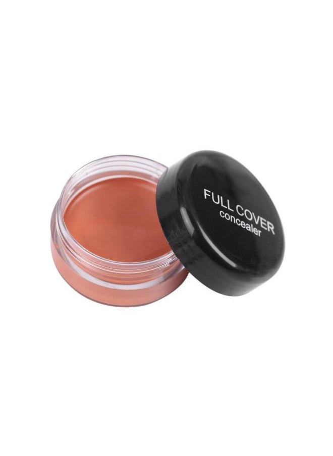 Popfeel Concealer Conceal Dark Circles Eye Bags Acne Marks Makeup (FC04)