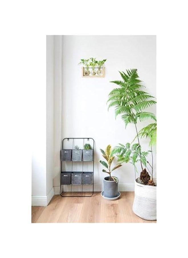 Plant Propagation Station with Wooden Stand, Wall Hanging Glass Planter Tabletop Terrarium Bulb Vase for Hydroponics Plants Home Office Decor (Beige)
