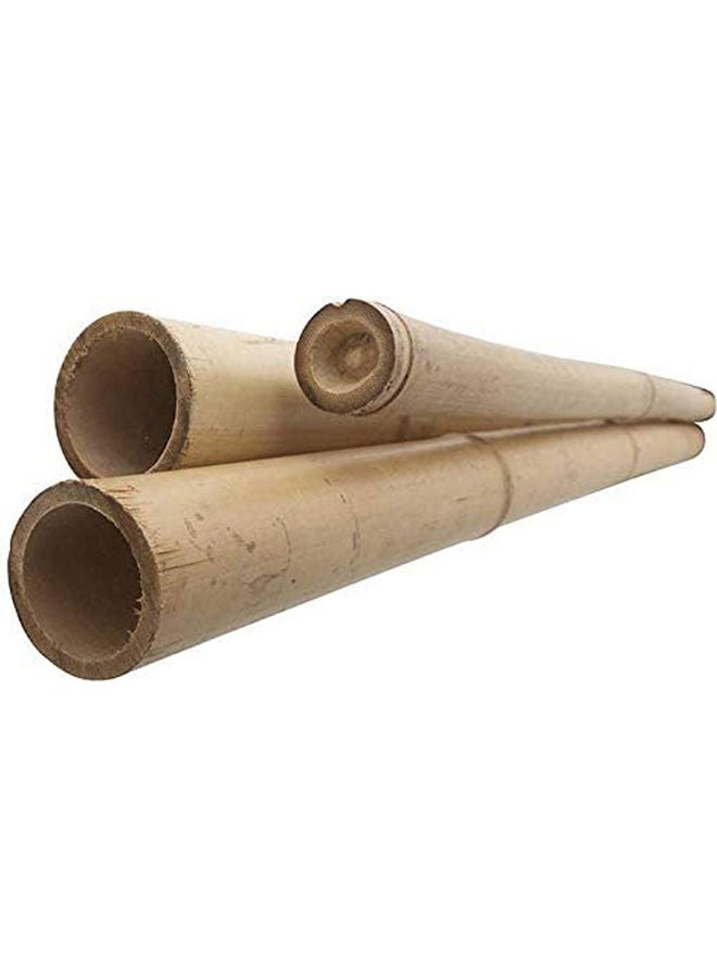 Bamboo Pole For Plants Support Beige 100x2.5x2.5cm