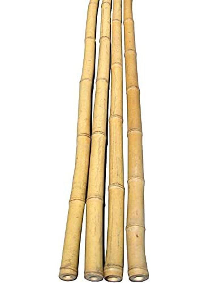 Bamboo Pole For Plants Support Beige 100x2.5x2.5cm