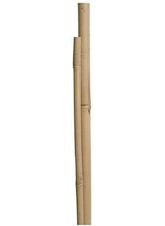 Bamboo Pole For Plants Support Beige 100x2.5x2.5cm