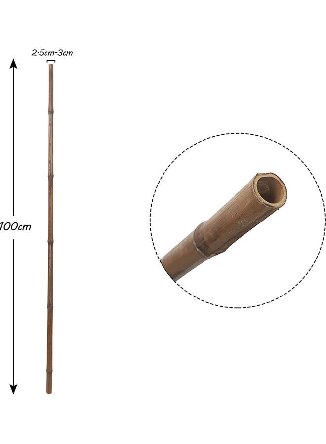 Bamboo Pole For Plants Support Beige 100x2.5x2.5cm