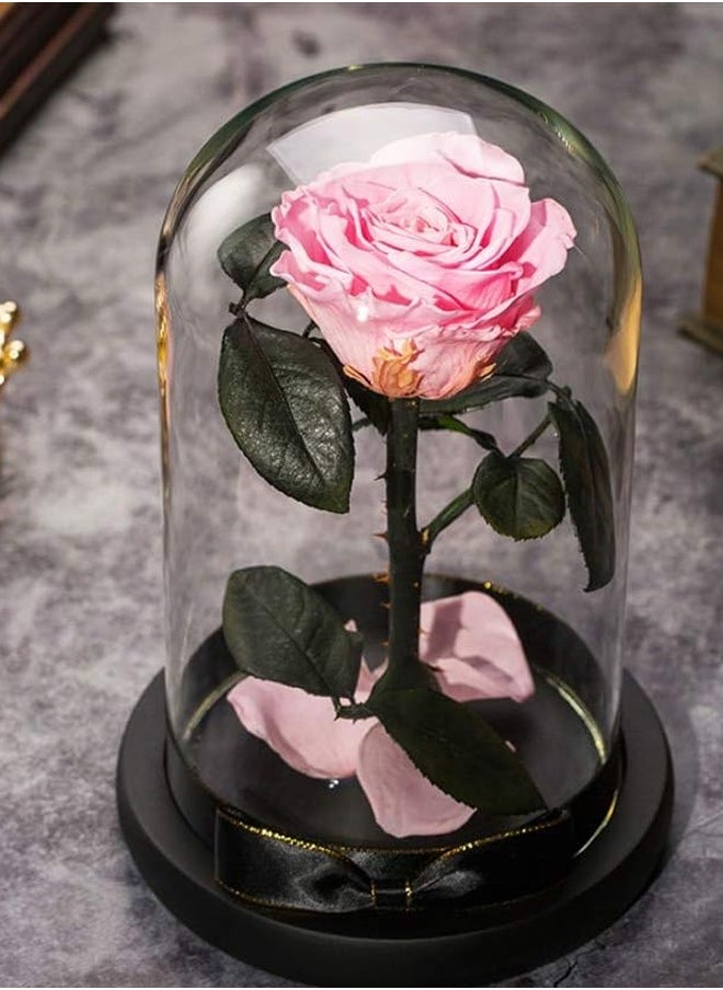 Timeless Pink Rose in Glass Dome – Preserved Single Rose for Lasting Love and Elegance | Ideal Gift for Special Moments