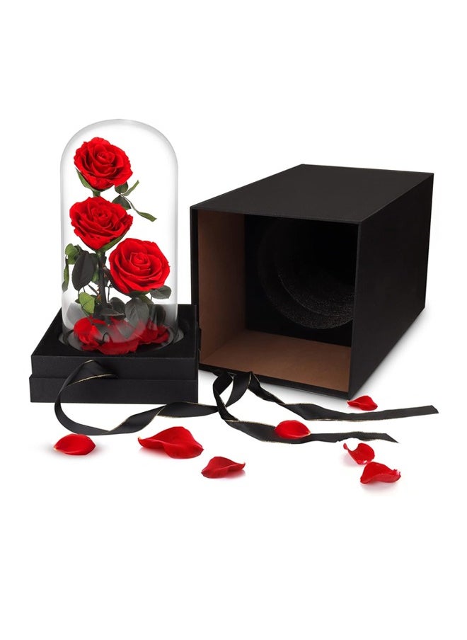 Timeless Red Rose in Glass Dome – Preserved Single Rose for Lasting Love and Elegance | Ideal Gift for Special Moments