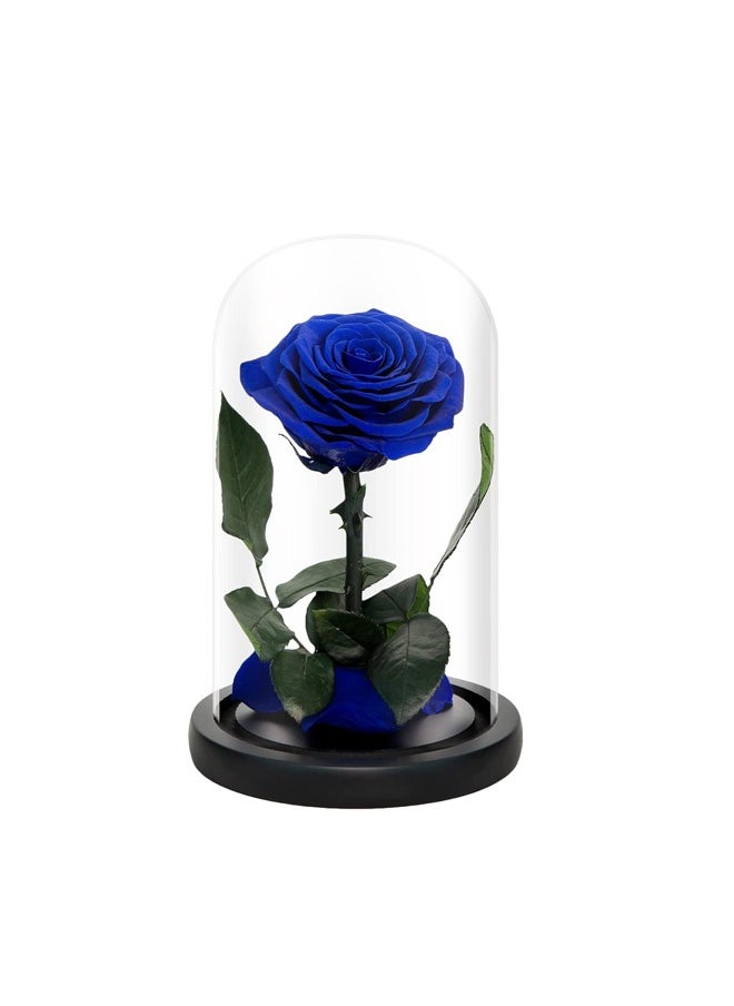 Timeless Blue Rose in Glass Dome – Preserved Single Rose for Lasting Love and Elegance | Ideal Gift for Special Moments