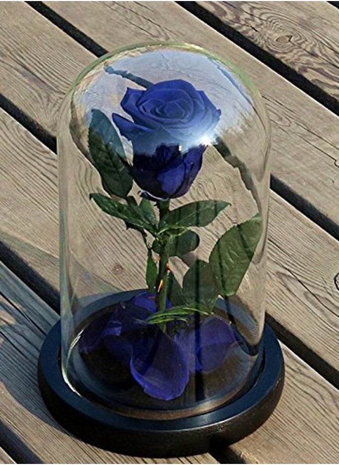 Timeless Blue Rose in Glass Dome – Preserved Single Rose for Lasting Love and Elegance | Ideal Gift for Special Moments