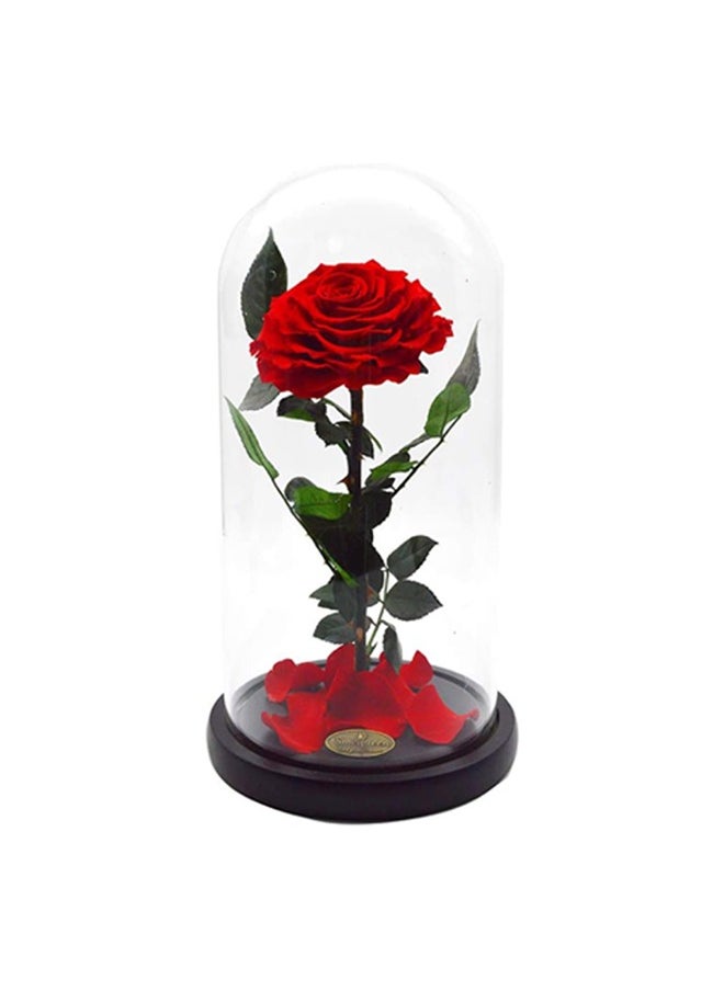 Timeless Red Rose in Glass Dome – Preserved Single Rose for Lasting Love and Elegance | Ideal Gift for Special Moments