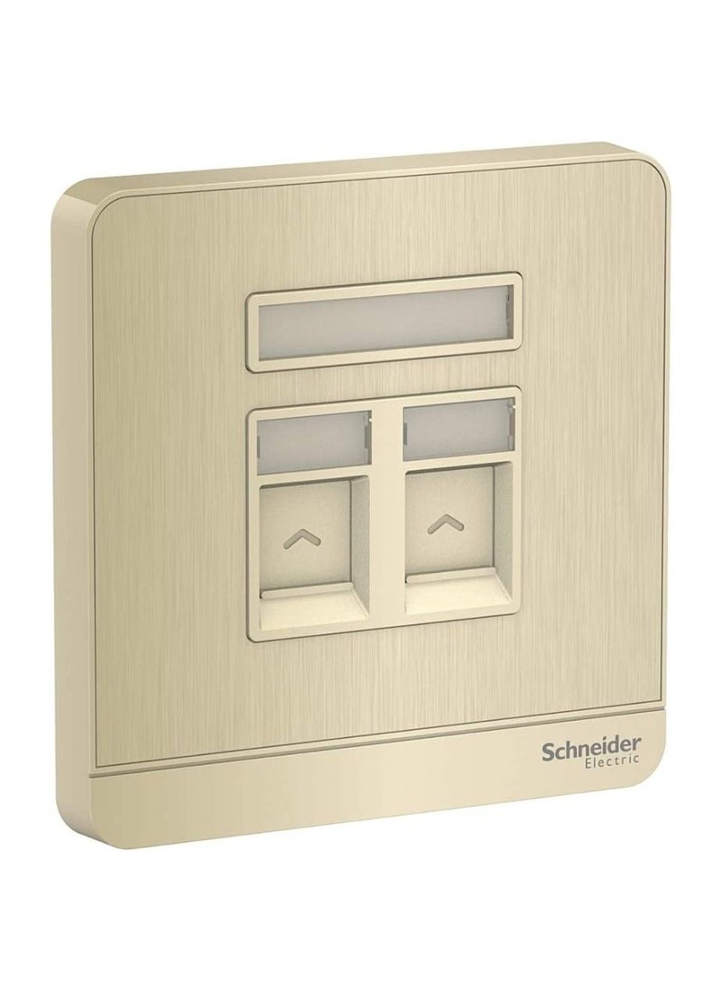 Schneider Electric AvatarOn E8332RJS_GH 1 Gang 2 Keystone Wallplate Jack RJ-45 Metal Gold Hairline