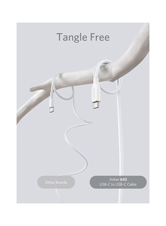 USB-C to USB-C Cable, 643 Cable 100W 6ft, USB 2.0 Type C Charging Cable Fast Charge for MacBook Pro/Air (M1/M2), iPad Pro/Air/Mini, Galaxy S25/S24/S23/S22, Pixel 8/7/6, Switch, and More (Cloud White) White