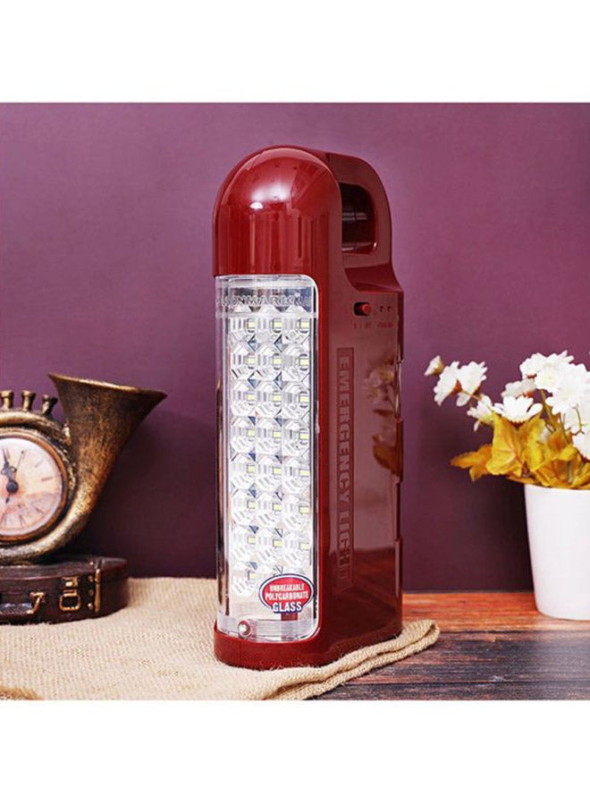 LED Lantern Flashlight Assorted Colour