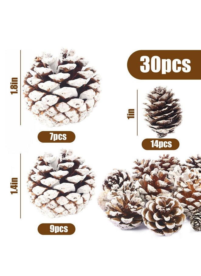 30Pcs Snow Pinecones Decorations, Natural Pine Cones For Crafts Christmas Pine Cone Ornaments For Xmas Tree Winter Holiday Hanging Ornaments