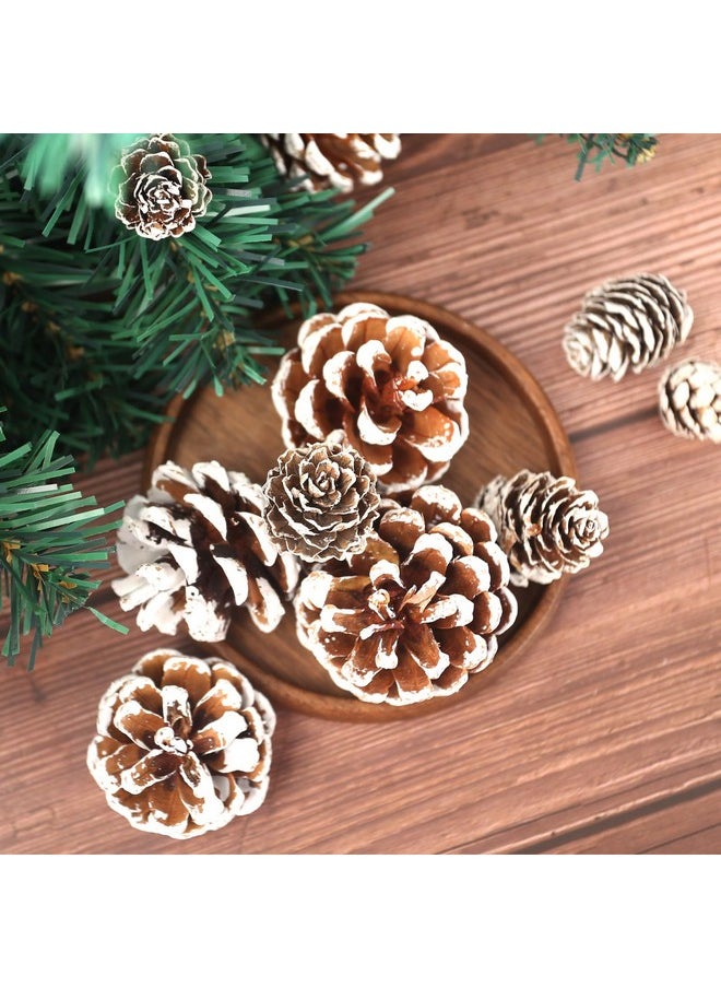 30Pcs Snow Pinecones Decorations, Natural Pine Cones For Crafts Christmas Pine Cone Ornaments For Xmas Tree Winter Holiday Hanging Ornaments