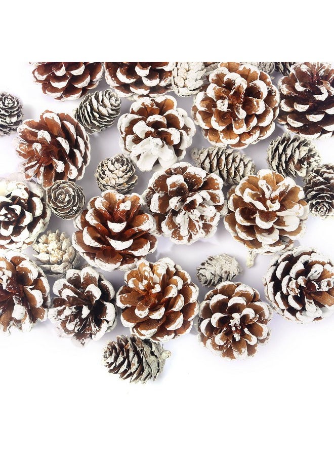 30Pcs Snow Pinecones Decorations, Natural Pine Cones For Crafts Christmas Pine Cone Ornaments For Xmas Tree Winter Holiday Hanging Ornaments