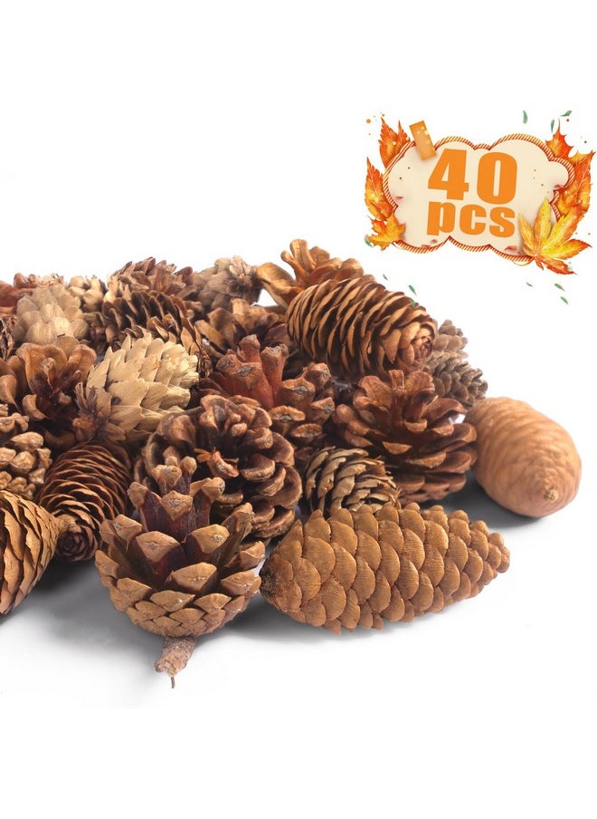 40Pcs Natural Pine Cones Bulk, Pinecones Decorations Pine Cone Ornaments For Crafts Thanksgiving Christmas Wreath Table Bowl Decor