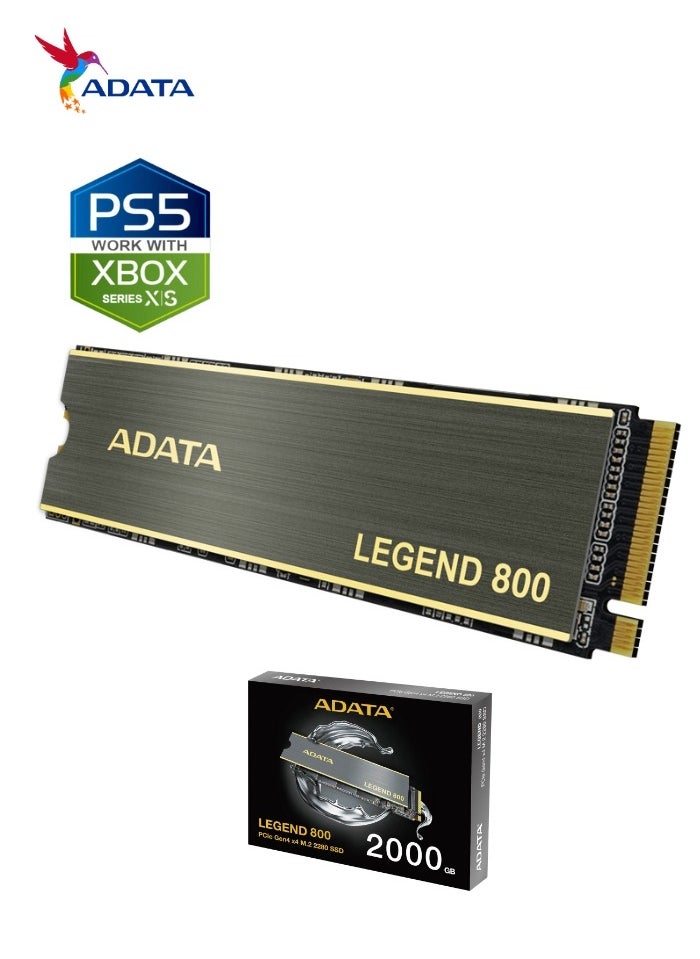 LEGEND 800 1000 GB Solid State Drive NVMe SSD PCIe Gen4x4 M.2 2280 for Laptop Desktop PS5 XBOX