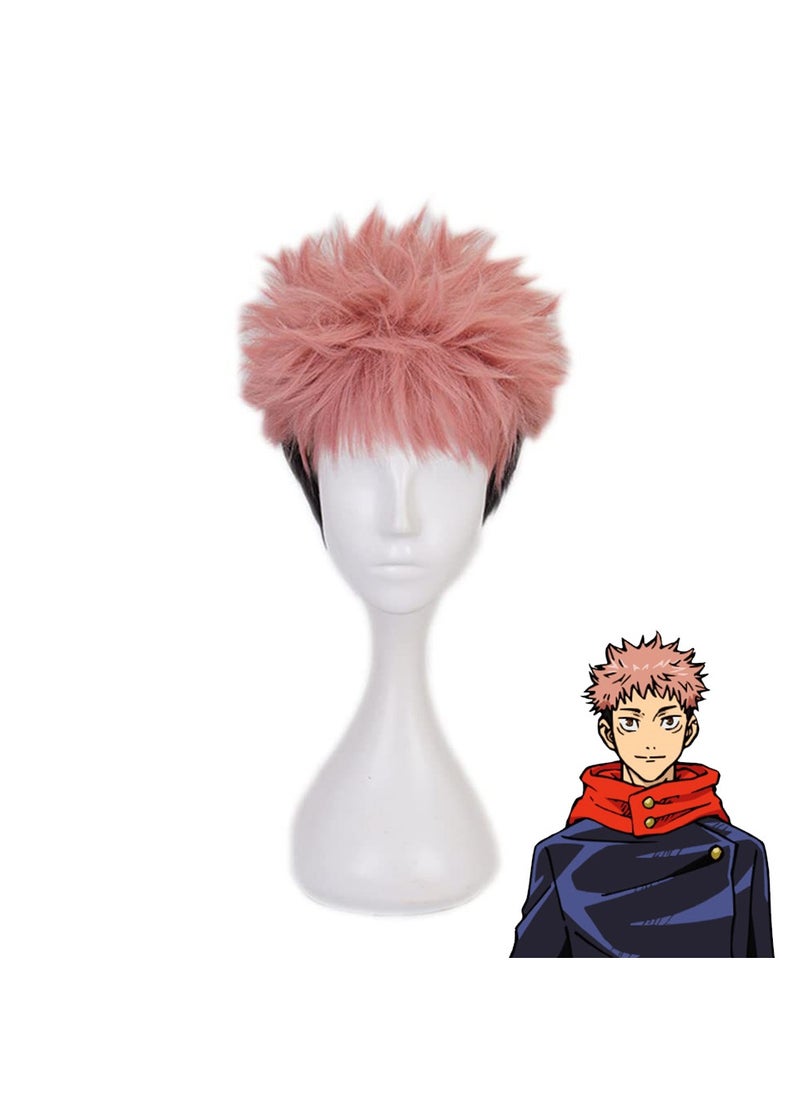 Anime Cosplay Wig Short Hair