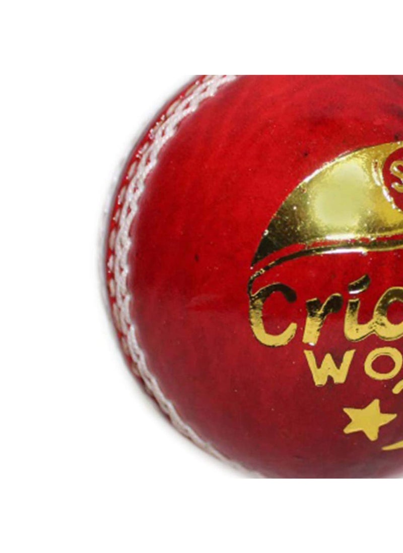 Cricket Ball | Water Proofed Leather Ball | Red | Suitable for Practice Game | Tournament Game | Top Quality Cork