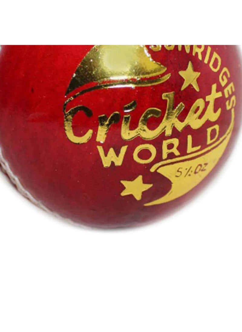 Cricket Ball | Water Proofed Leather Ball | Red | Suitable for Practice Game | Tournament Game | Top Quality Cork