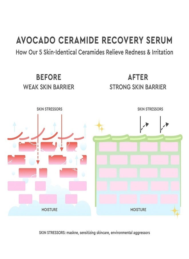 GLOW RECIPE Avocado Ceramide Recovery Serum, 30ml – Soothing, Redness-Reducing, and Barrier-Strengthening Serum with Ceramides and Avocado Extract