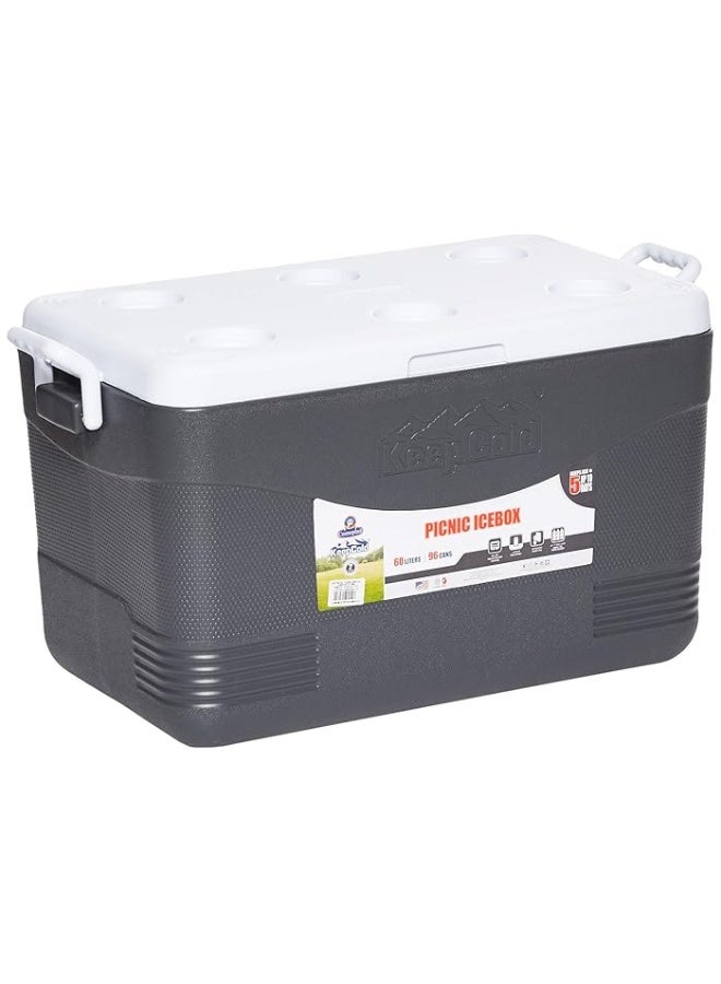 46L Keep Cold Picnic Icebox Assorted
