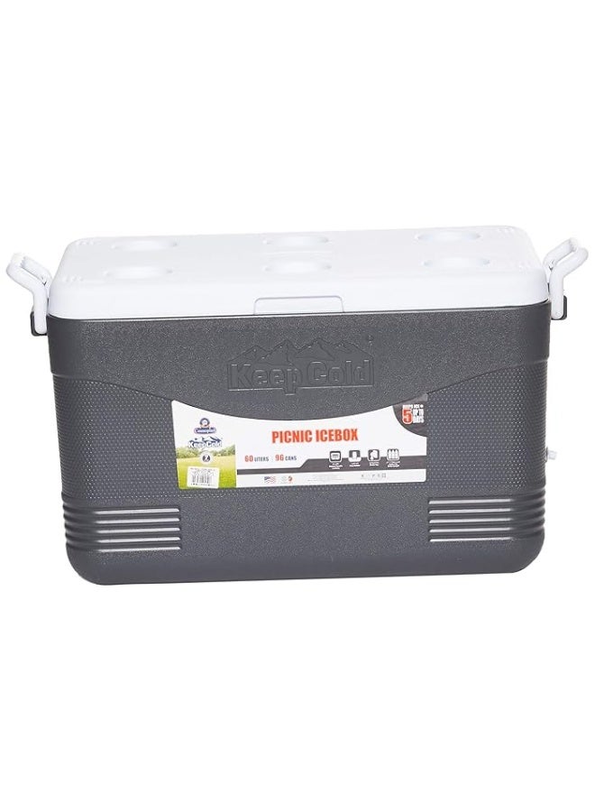 46L Keep Cold Picnic Icebox Assorted