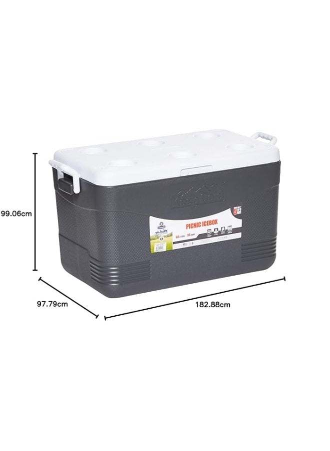 46L Keep Cold Picnic Icebox Assorted