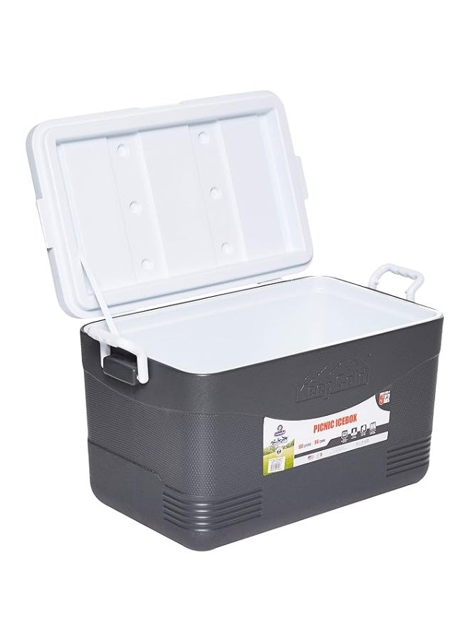 46L Keep Cold Picnic Icebox Assorted
