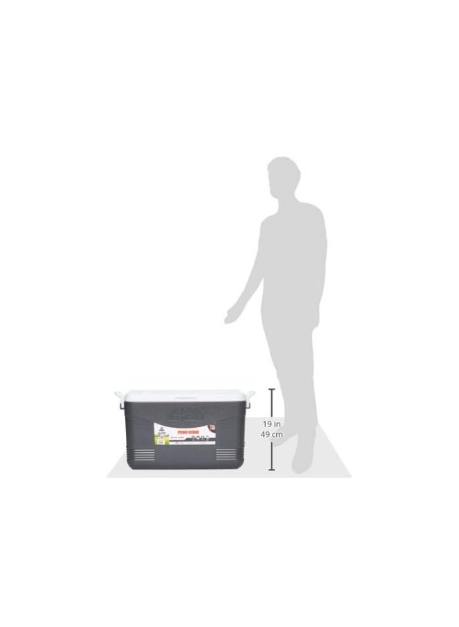 46L Keep Cold Picnic Icebox Assorted