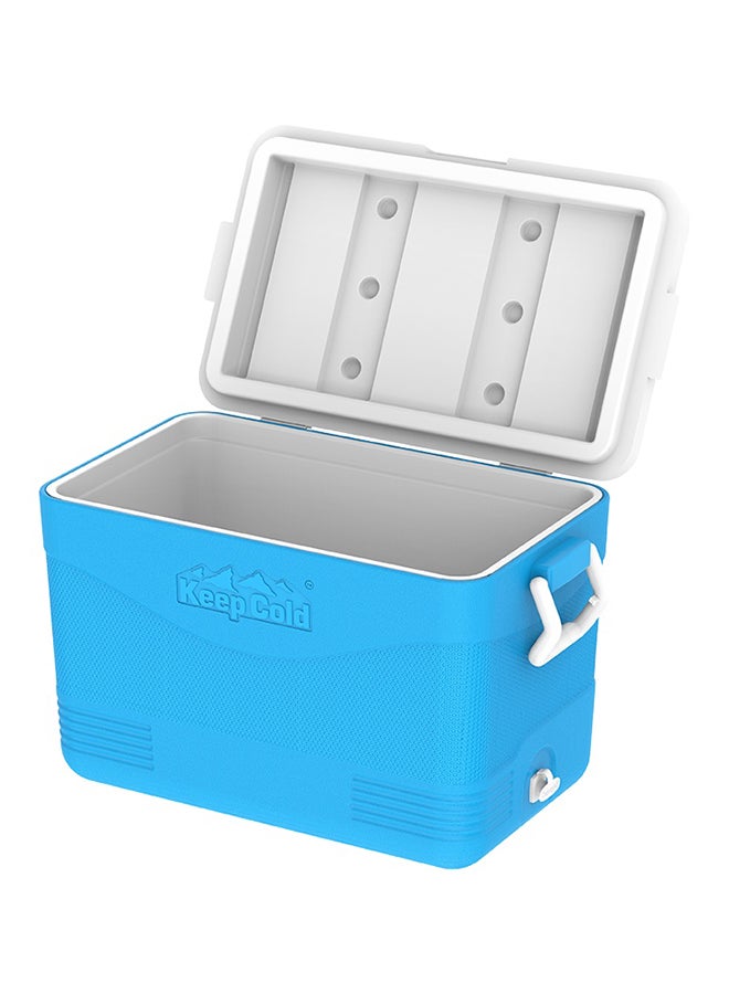 46L Keep Cold Picnic Icebox Assorted