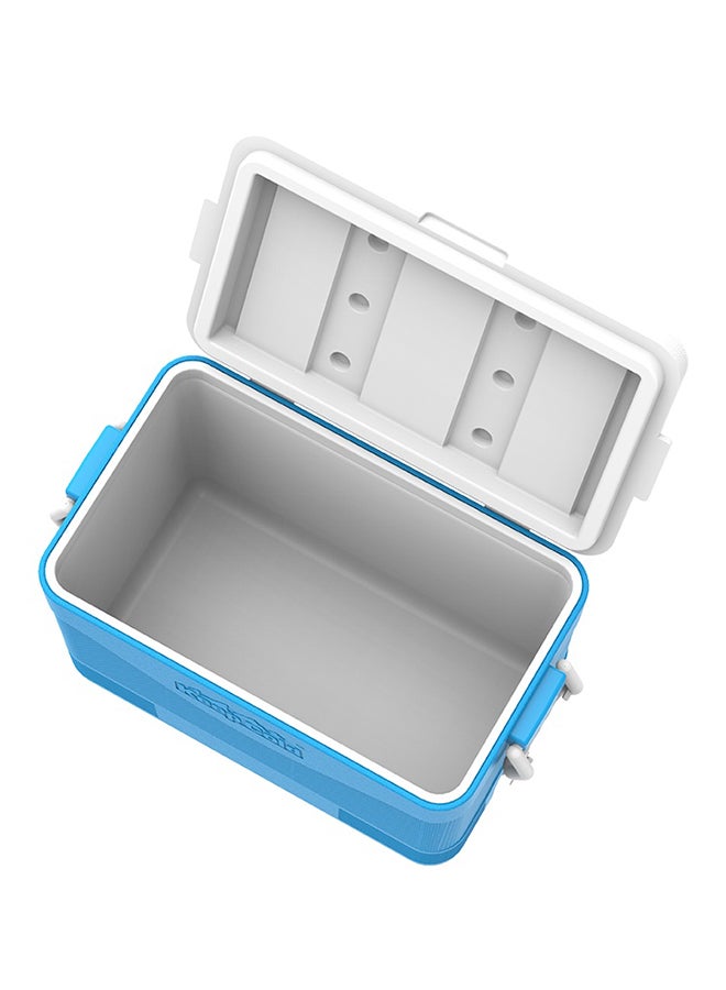 46L Keep Cold Picnic Icebox Assorted