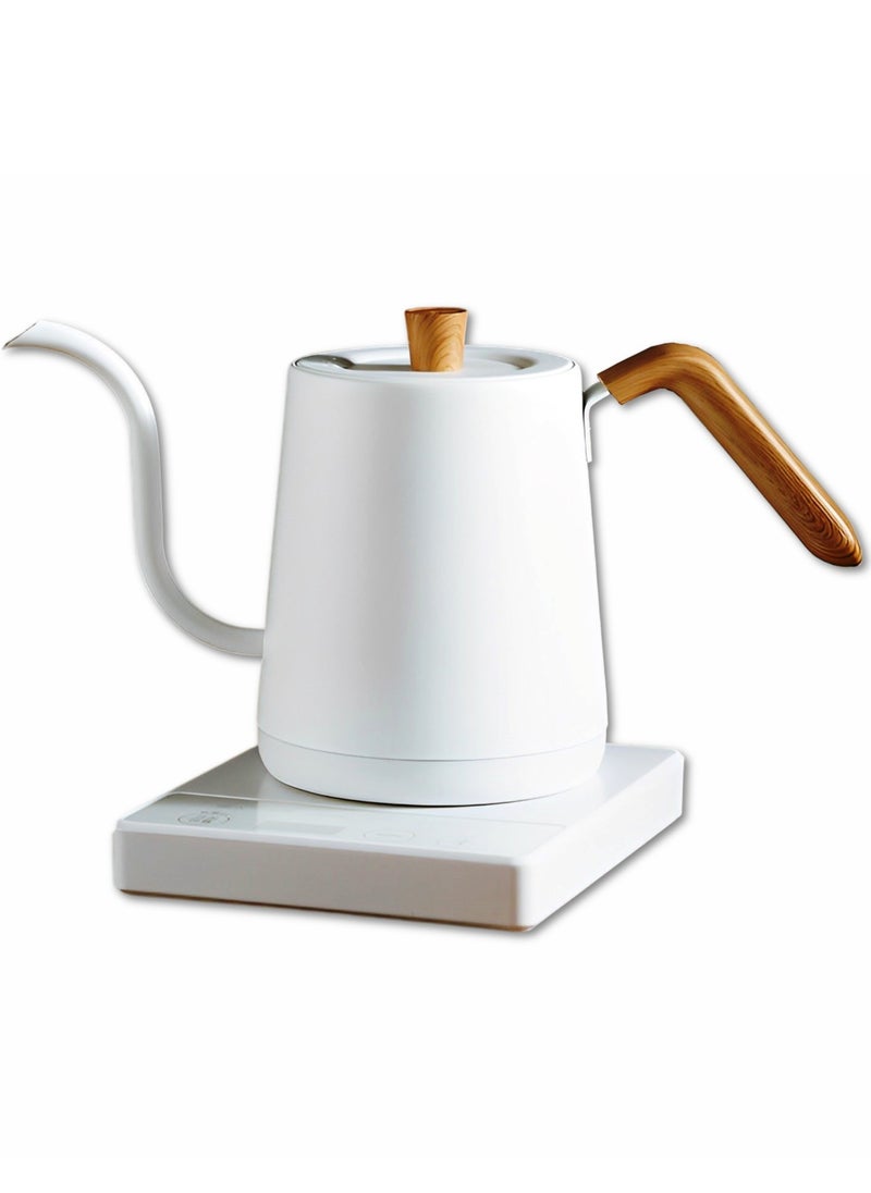 Electric Gooseneck Kettle 1000W Ultra Fast Boiling Water Kettle 100% Stainless Steel for Pour-over Coffee & Tea Leak-Proof Design Boil-Dry Protection 0.8L