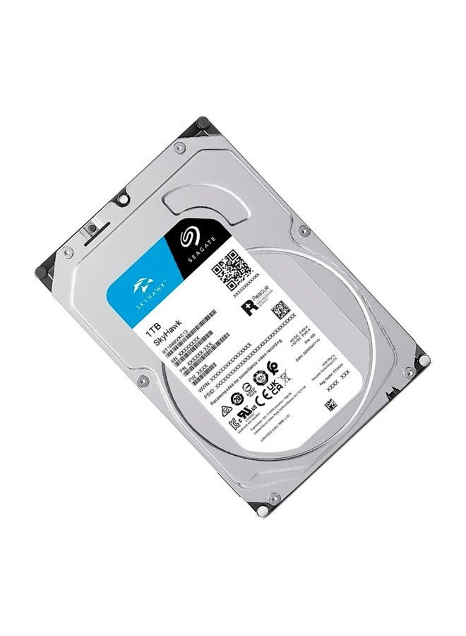 Skyhawk 5400 Hard Drive (ST1000VX013) 1 TB