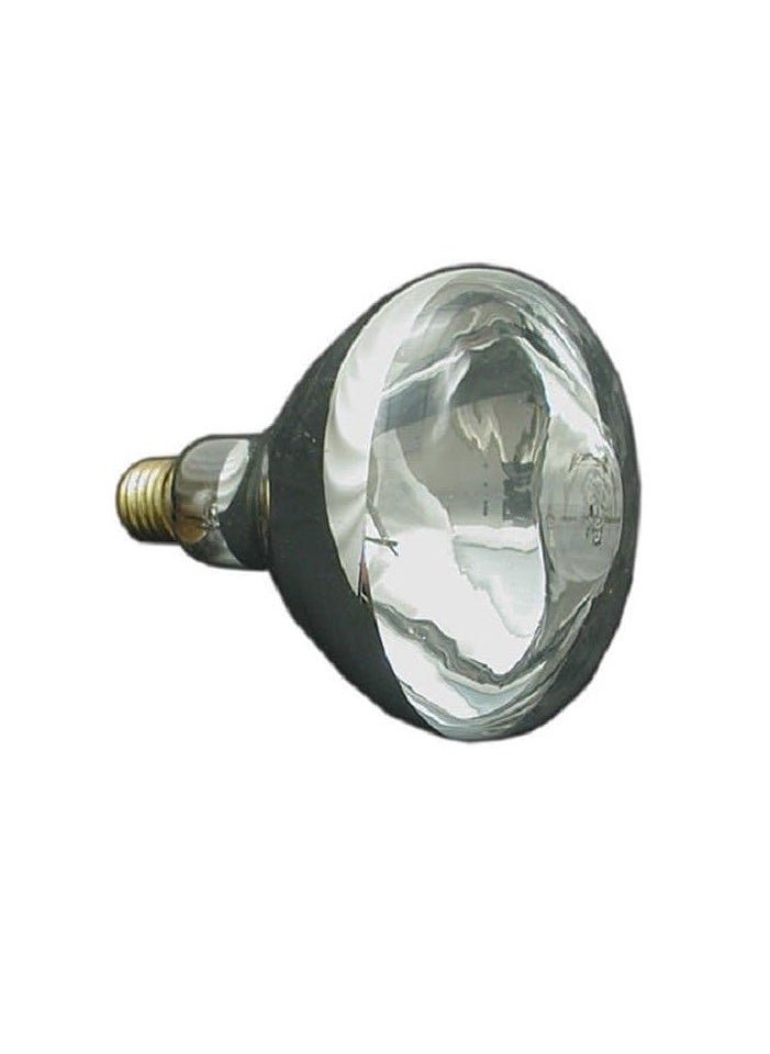 Pool & Spa Bulb 300w, 12v, R40, E27