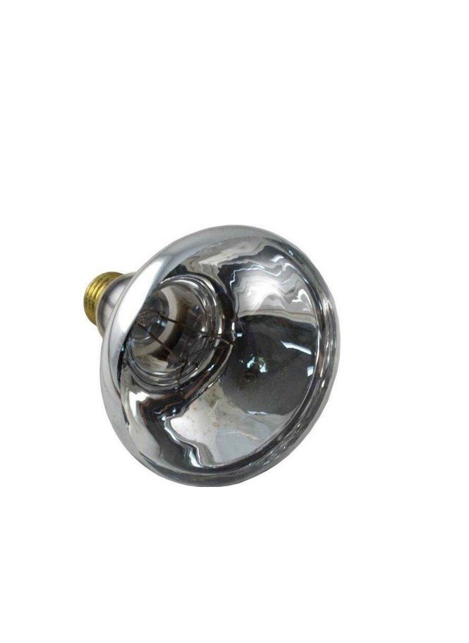 Pool & Spa Bulb 300w, 12v, R40, E27