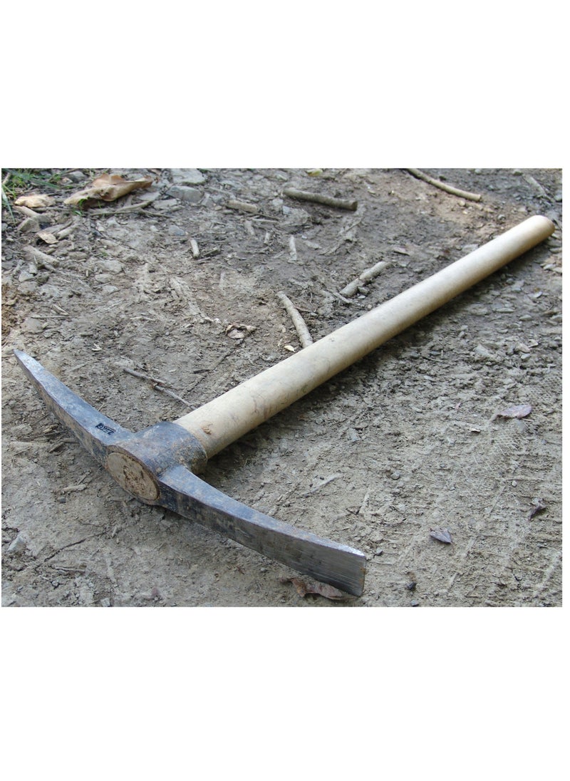 Axe with Wooden Handle