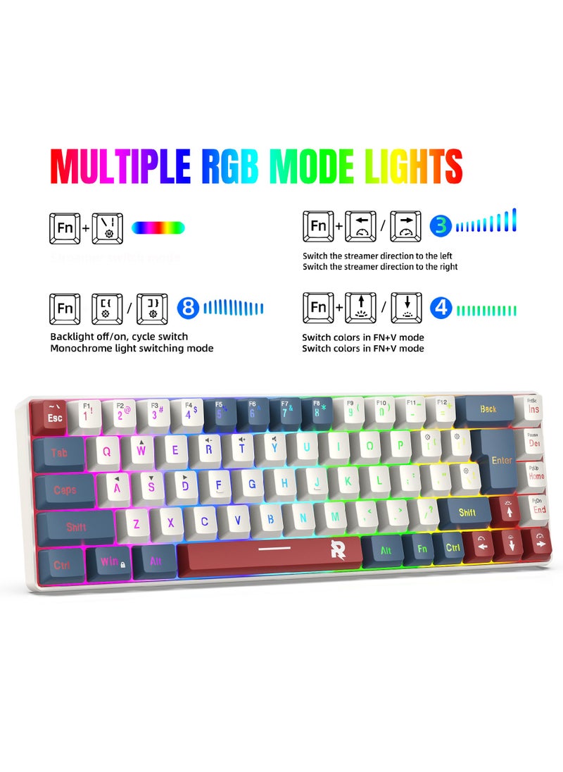 ROCK POW 60% Wired Gaming Keyboard RGB Backlit Mini Keyboard Waterproof Small Ultra-Compact 68 Keys Keyboard for PC/Mac Gamer Typist Travel Easy to Carry on Business Trip BWR