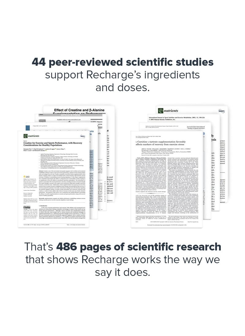 Recharge Post Workout Drink, Boosts Muscle growth and Recovery, 5g Micronized Creatine Monohydrate, 2.1g L-Carnitine and L-Tartrate, 552 g/1.22Lbs, 60 Servings - Strawberry Lemonade Flavor