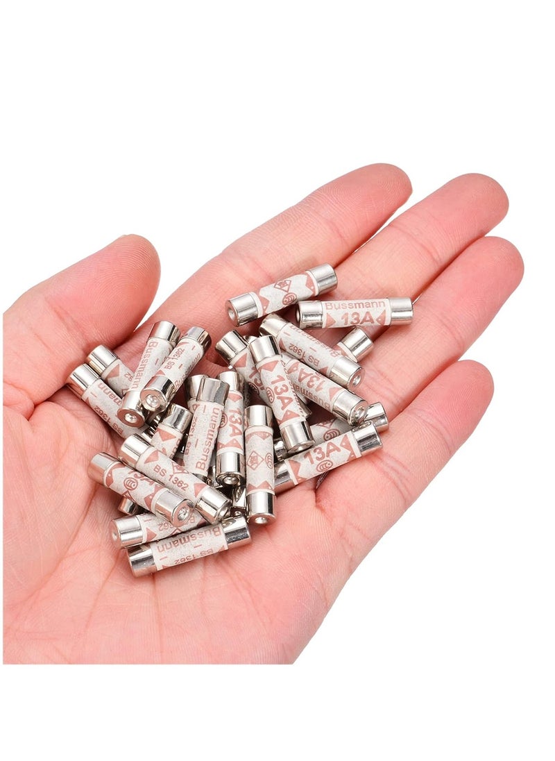 Fuse 13A 10Pcs set of 2