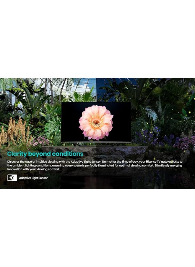 55 Inch 4K QLED Smart TV | Quantum Dot Colour | VIDAA System | Dolby Atmos | Smooth Motion | AI Picture | Voice Control | Smart Home Ready | (2024) Model - 55Q6N Black