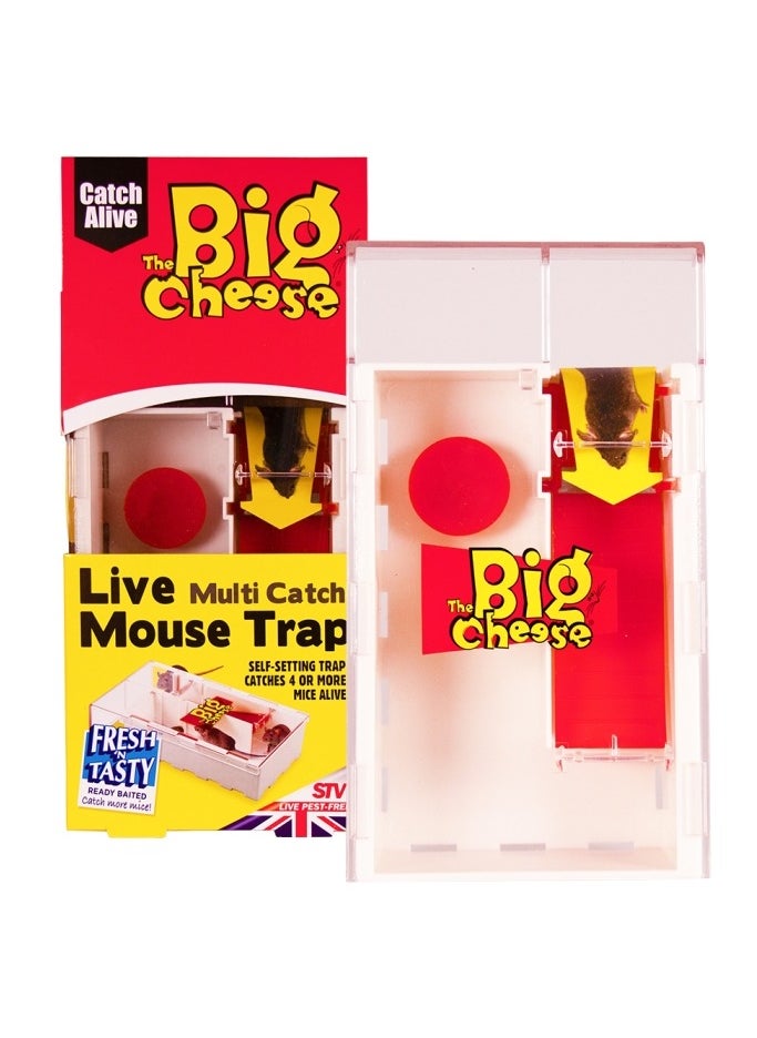 STV Live Multi-Catch Mouse Trap